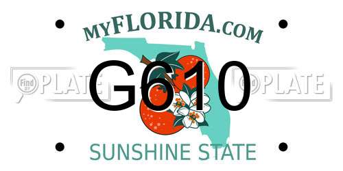 G610 Florida License Plate