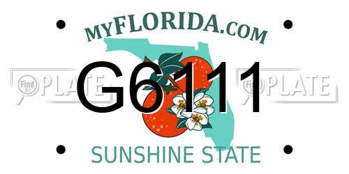 G6111 Florida License Plate
