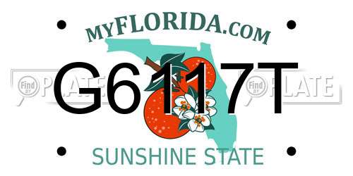 G6117T Florida License Plate