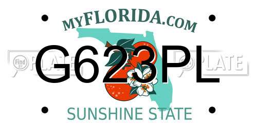 G623PL Florida License Plate