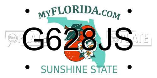 G628JS Florida License Plate