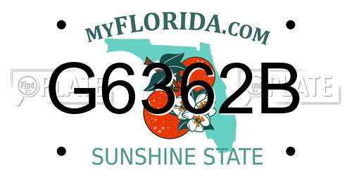 G6362B Florida License Plate