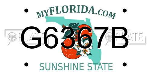G6367B Florida License Plate
