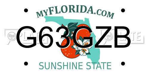 G63GZB Florida License Plate