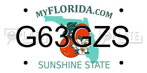 G63GZS Florida License Plate