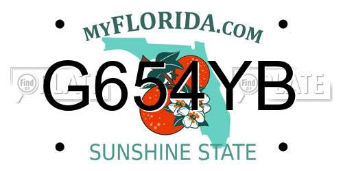 G654YB Florida License Plate