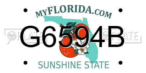 G6594B Florida License Plate
