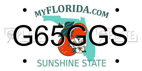 G65GGS Florida License Plate