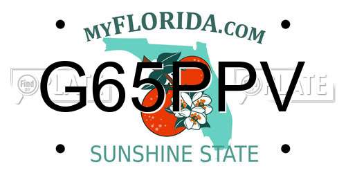 G65PPV Florida License Plate
