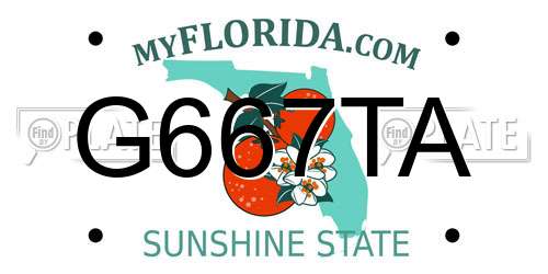 G667TA Florida License Plate