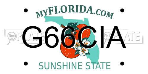 G66CIA Florida License Plate