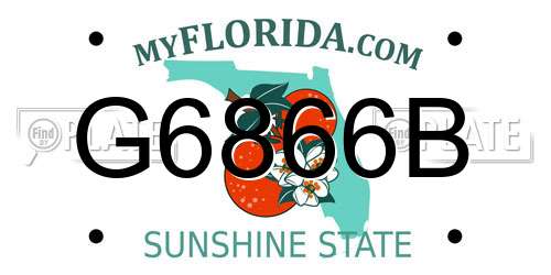 G6866B Florida License Plate