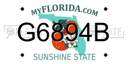 G6894B Florida License Plate