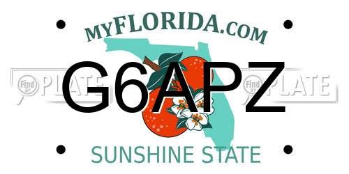 G6APZ Florida License Plate