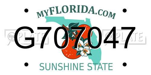 G707047 Florida License Plate