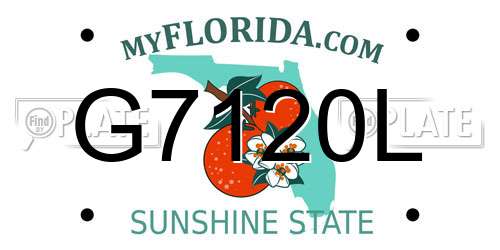 G7120L Florida License Plate
