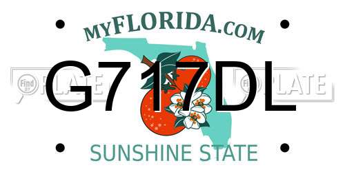G717DL Florida License Plate