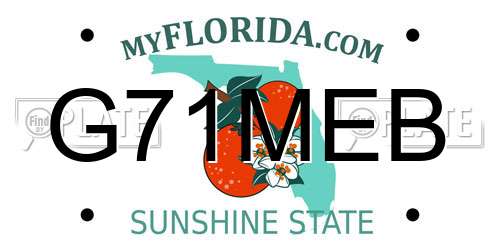 G71MEB Florida License Plate