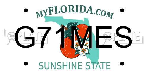 G71MES Florida License Plate