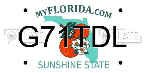 G71TDL Florida License Plate