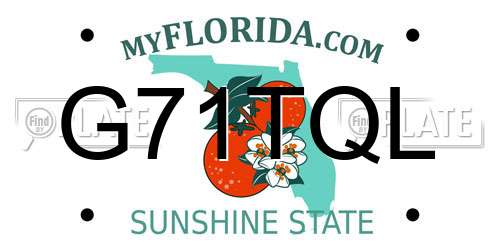 G71TQL Florida License Plate
