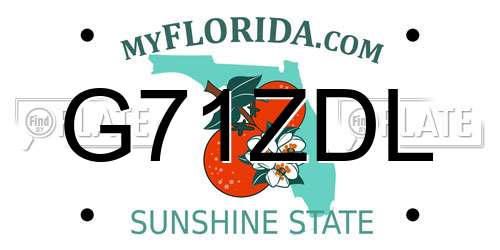 G71ZDL Florida License Plate