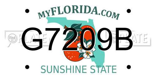 G7209B Florida License Plate