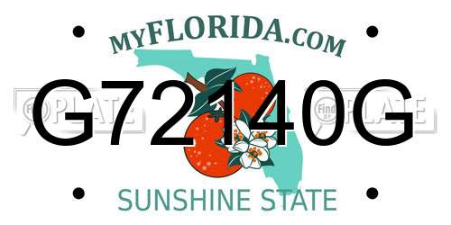 G72140G Florida License Plate