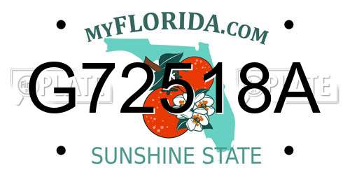 G72518A Florida License Plate