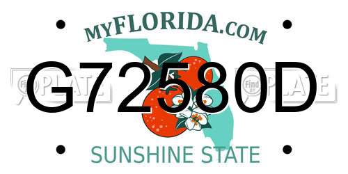 G72580D Florida License Plate
