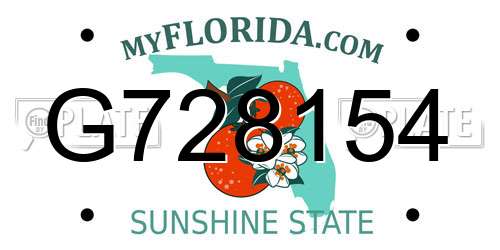 G728154 Florida License Plate