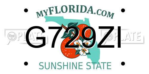 G729ZI Florida License Plate