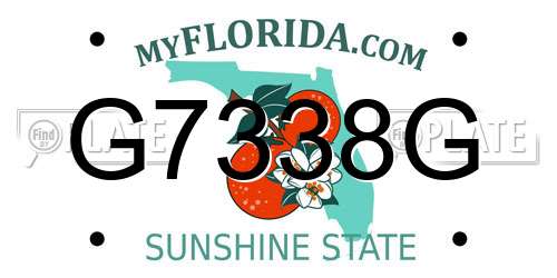 G7338G Florida License Plate