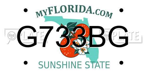G733BG Florida License Plate