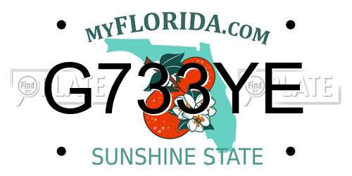 G733YE Florida License Plate