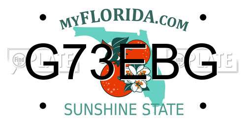 G73EBG Florida License Plate