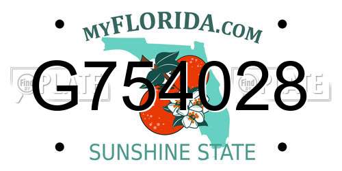 G754028 Florida License Plate