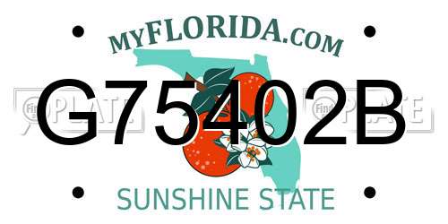 G75402B Florida License Plate