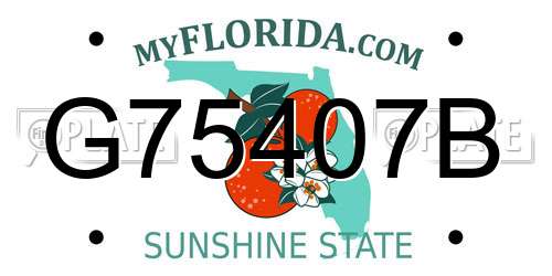 G75407B Florida License Plate
