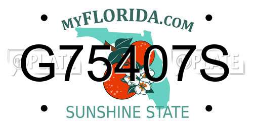 G75407S Florida License Plate