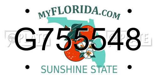 G755548 Florida License Plate