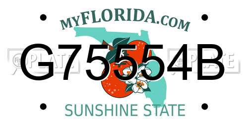 G75554B Florida License Plate