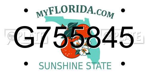G755845 Florida License Plate
