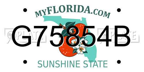 G75854B Florida License Plate