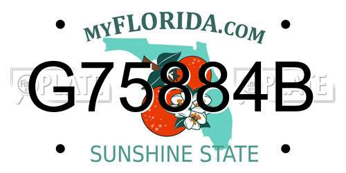G75884B Florida License Plate