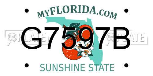 G7597B Florida License Plate