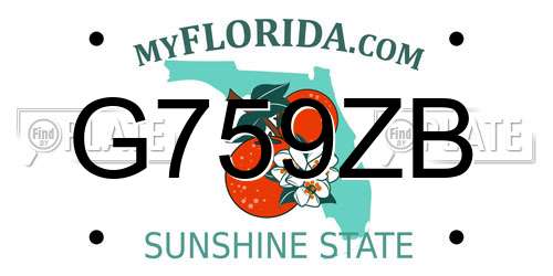 G759ZB Florida License Plate