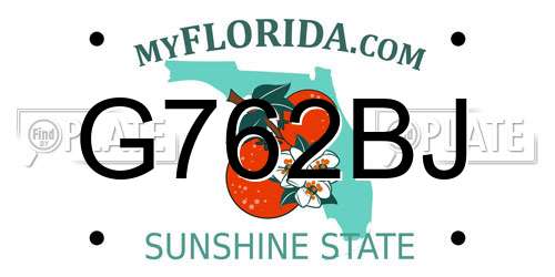 G762BJ Florida License Plate