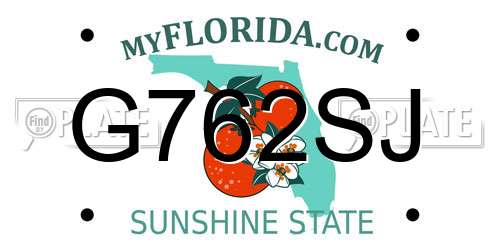 G762SJ Florida License Plate