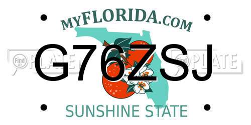 G76ZSJ Florida License Plate